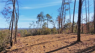 N-26A Jocassee Ridge Way, Salem, SC 29676 - photo 3