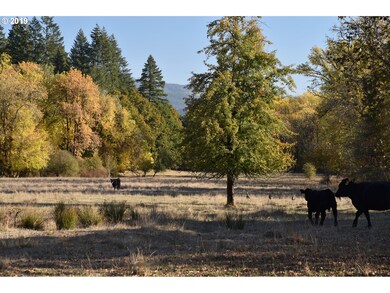 0 Kingston Jordan Rd, Scio, OR 97374 - photo 7