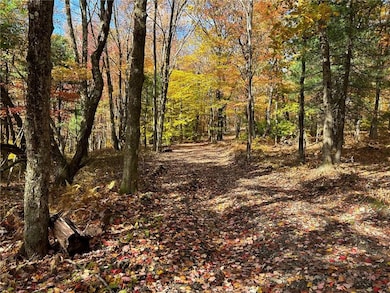 3 W Hill Rd, Austerlitz, NY 12017 - photo 3