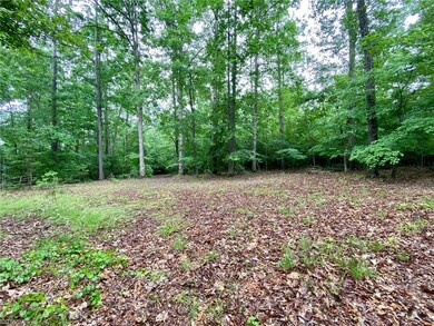 5584 Nc Highway 134, Asheboro, NC 27205 - photo 4