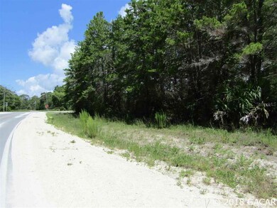 Lot 9 Sea Meadows Dr, Perry, FL 32348 - photo 6