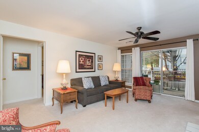 4401 Silverbrook Ln unit B204, Owings Mills, MD 21117 - photo 6