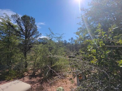 Vegetation