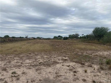 905 E Davis Rd, Edinburg, TX 78542 - photo 2