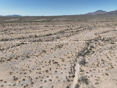 0 W White Wing Rd unit 10 6888001, Maricopa, AZ 85139 - photo 2