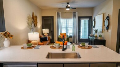 2953 Fm 2920 Rd unit 2103, Spring Branch, TX 77388 - photo 5