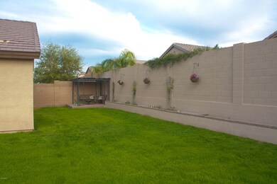 Back Yard 2