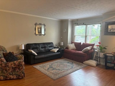 Living room with wood finished floors and ornament