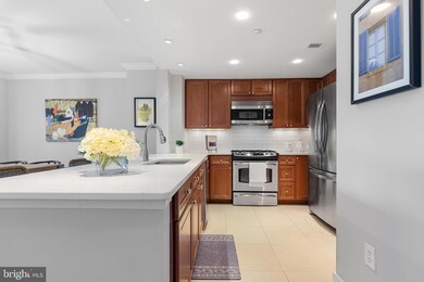 Residences at Park Place unit 532, Annapolis, MD 21401 - photo 5