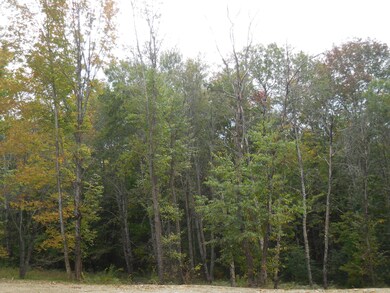 48 Hart St, Newport, ME 04953 - photo 6