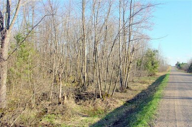 20  Acres on Cloverland Rd, Conrath, WI 54731 - photo 6
