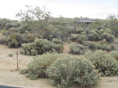 Desert Vegetation