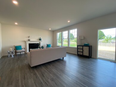 1305 Barberry Way, Joliet, IL 60431 - photo 3