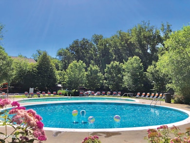 Phase I Pool (3)