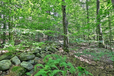 Stone Wall Along Northern Boundary