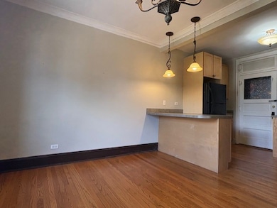 500 Beloit Ave unit A2, Forest Park, IL 60130 - photo 4