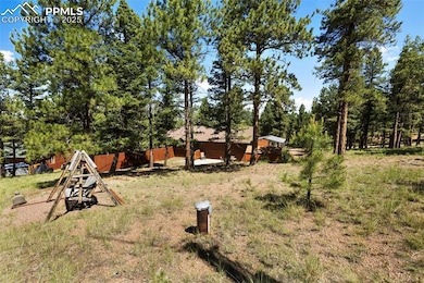234 Wasatch Ln, Florissant, CO 80816 - photo 3