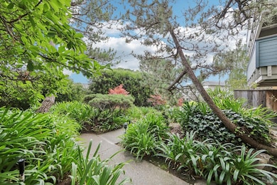 290 Via Casitas unit 206, Greenbrae, CA 94904 - photo 5