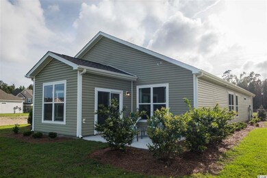 1072 Caprisia Loop unit Lot 132, Myrtle Beach, SC 29579 - photo 4