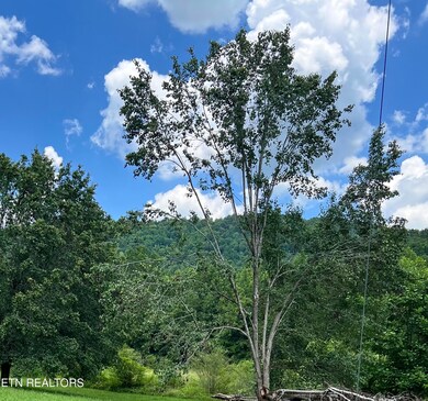 0 Wooldridge Rd, Jellico, TN 37762 - photo 4