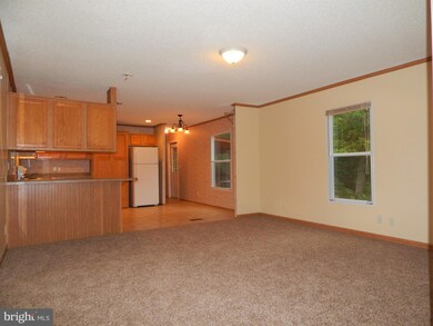 6549 Browning Rd, Culpeper, VA 22701 - photo 7