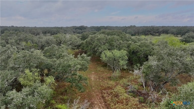 000 Coletoville Rd, Victoria, TX 77905 - photo 7