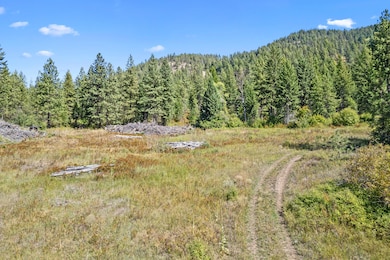 68X Highland Loop Rd, Kettle Falls, WA 99141 - photo 5