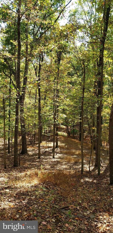 0 Route unit WVMO2001156, Berkeley Springs, WV 25411 - photo 5