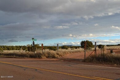 DSC_0360 (800x533)