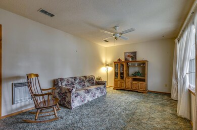 198 Lou Ellen Dr, Manchester, TN 37355 - photo 4