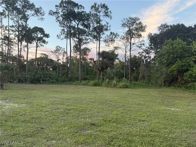 0 66th St SW unit 225071554, Central Naples, FL 34105 - photo 6