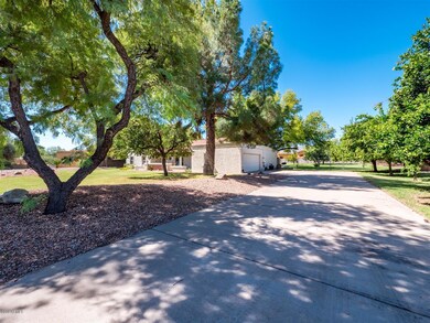 Tree Lined Driveway with Citrus