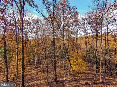 0 Goaway Road #1, Hedgesville, WV 25427 - photo 4