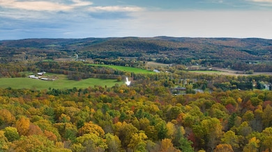 845 State Highway 7, Unadilla, NY 13849 - photo 7