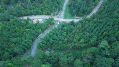 TBD Lowrie Loop, Smithville, OK 74957 - photo 5