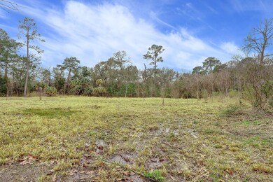 35 E Rivercrest Dr, Houston, TX 77042 - photo 3