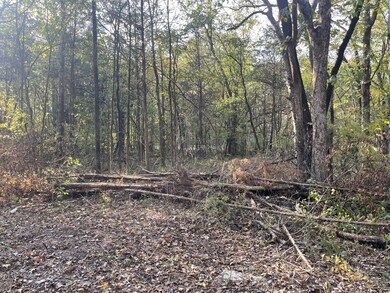 0 Ownby Rd, Lewisburg, TN 37091 - photo 4