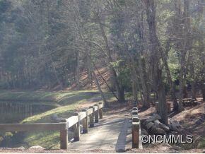 Walking Trail Bridge!