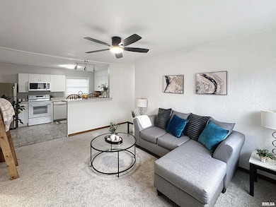 1336 W 38th Place, Davenport, IA 52806 - photo 3