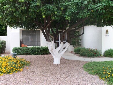Picture 6 of Front