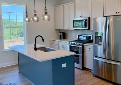 304 Bay St, Morgantown, WV 26508 - photo 2