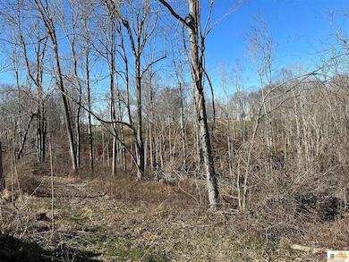 501 Brockman Rd, Columbia, KY 42728 - photo 3