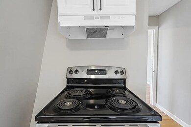 100 Appleton St unit 2, Lowell, MA 01852 - photo 4