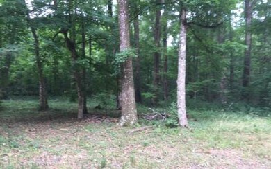 1326 SW Montana St, Fort White, FL 32038 - photo 3