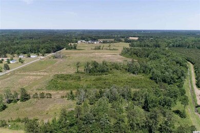 3339 W Highway 501 unit TBD SC HWY 548 at US, Conway, SC 29527 - photo 6