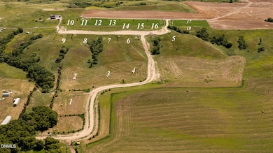 aerial