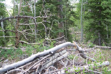 91 S Spring Cir unit SHC u-C b-F lot 19, Brian Head, UT 84719 - photo 3