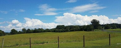 TBD Lea Port Rd, Mount Sidney, VA 24467 - photo 3