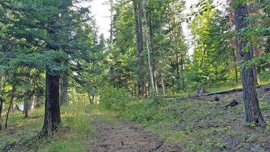 Nhn Rainbow Dr, Bigfork, MT 59911 - photo 4