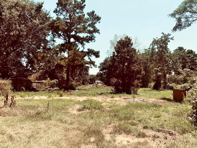 32509-2 Wright Rd, Magnolia, TX 77355 - photo 6